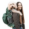 dogcarrier2