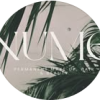nume-palma