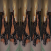 acarfx