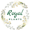royalplants