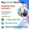 usabrandit408