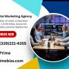 primebizs7