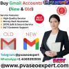 pvaseoexpert16