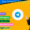 pvakingpro13mc