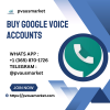 googlevoice5644