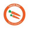 carrotsunoil