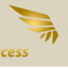 profitablesolutions