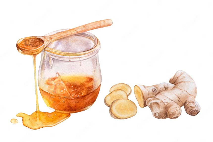 Benefits of Honey Spoons with Ginger: A Natural Duo for Health and Wellness