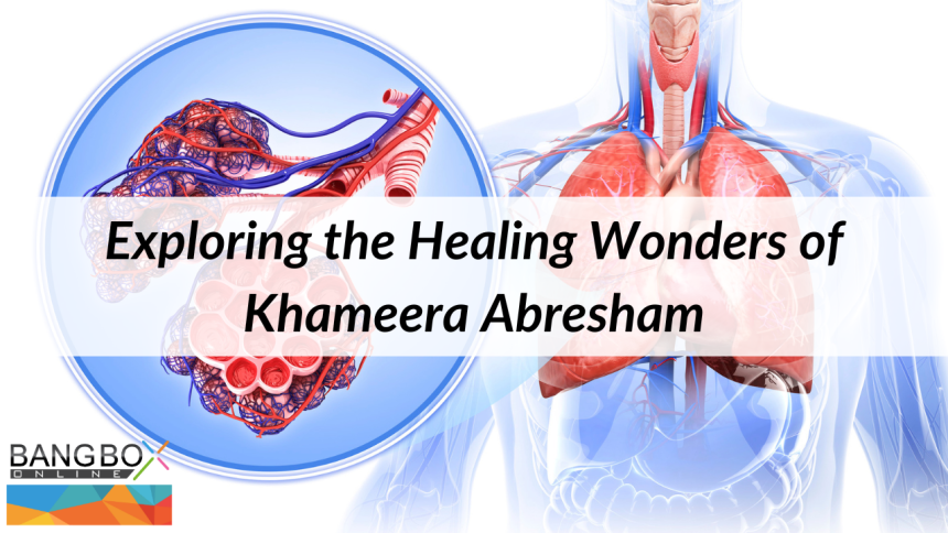 Exploring the Healing Wonders of Khameera Abresham