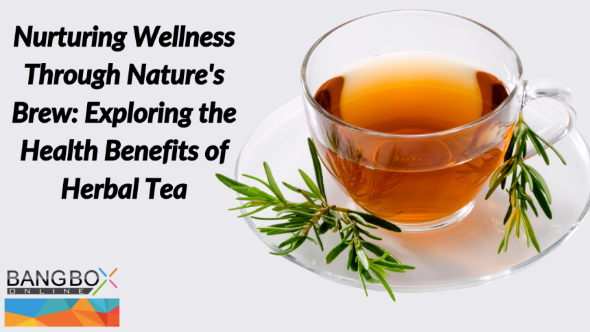 Nurturing Wellness Through Nature's Brew: Exploring the Health Benefits of Herbal Tea