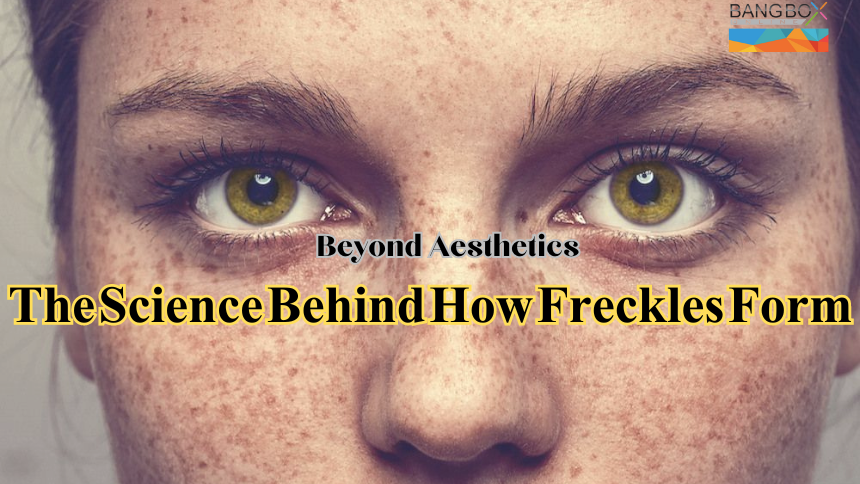 Beyond Aesthetics: The Science Behind How Freckles Form