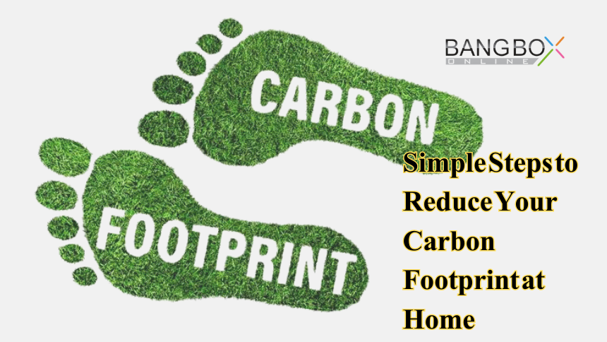 Simple Steps to Reduce Your Carbon Footprint at Home