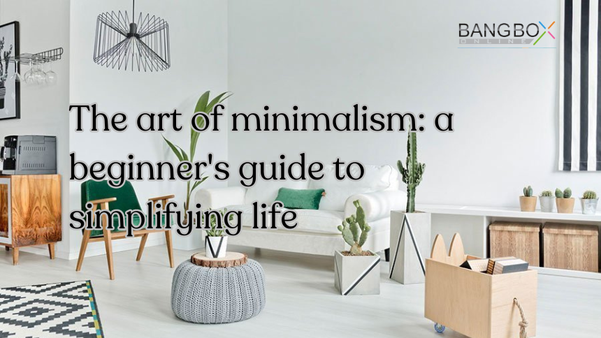 The Art of Minimalism: A Beginner's Guide to Simplifying Life