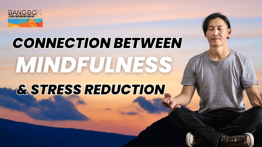 "The Connection Between Mindfulness and Stress Reduction"