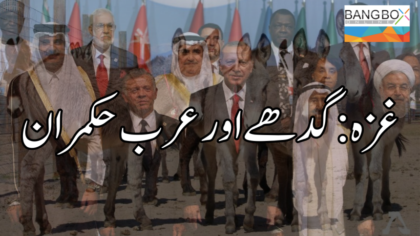 غزہ؛ گدھے اور عرب حکمران