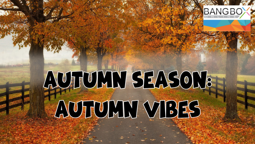 Autumn Season; Autumn Vibes
