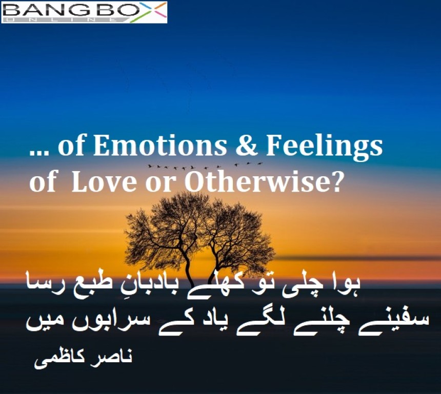 …of emotions and feelings of love and otherwise?