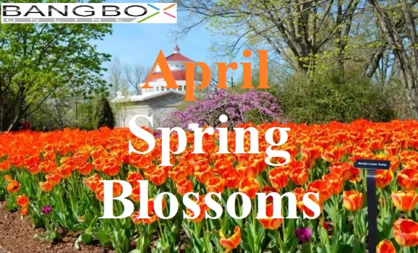 April; Spring Blossoms
