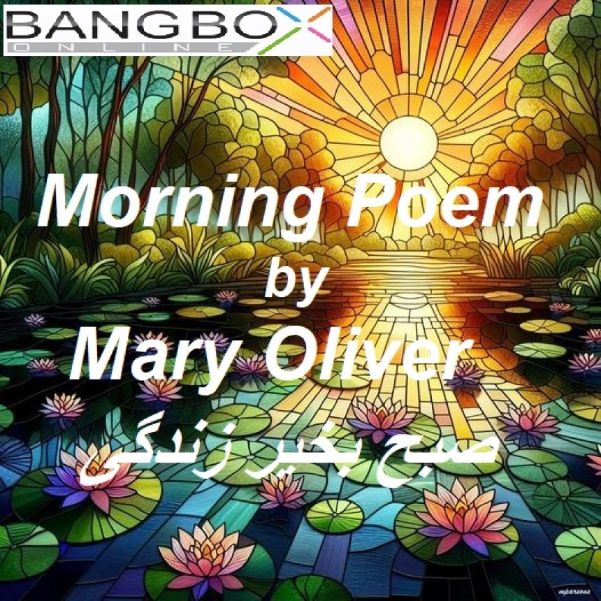 Morning Poem by Mary Oliver: صبح بخیر زندگی