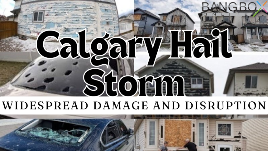 Calgary Hail Storm