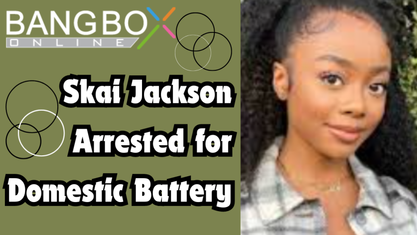 Skai Jackson Arrested for Domestic Battery