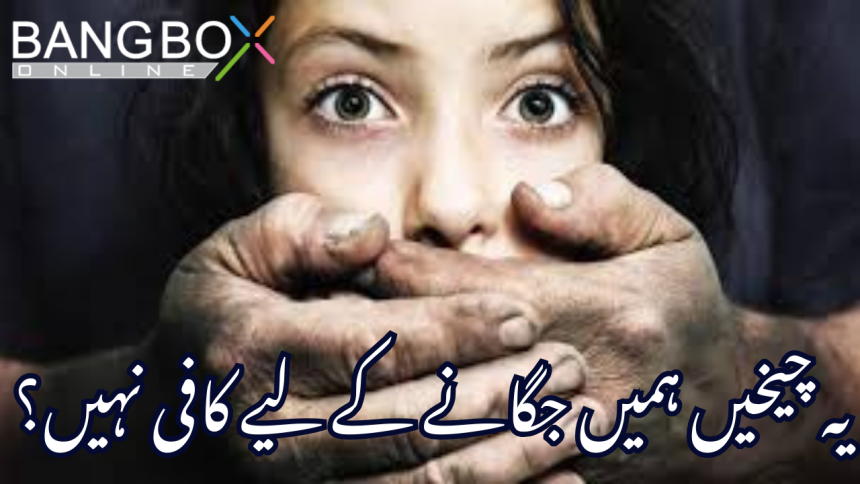 یہ چیخیں ہمیں جگانے کے لیے کافی نہیں؟