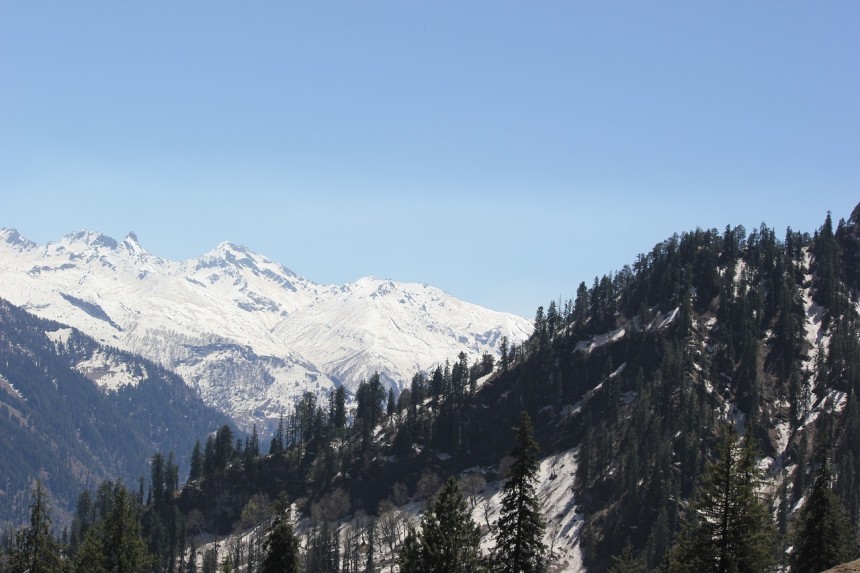 Shimla Manali local tourism: What You Need to Know