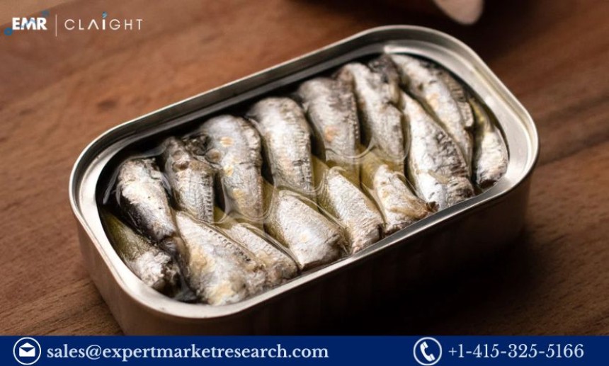 Canned Sardine Manufacturing Plant Project Report 2024: Setup and Cost