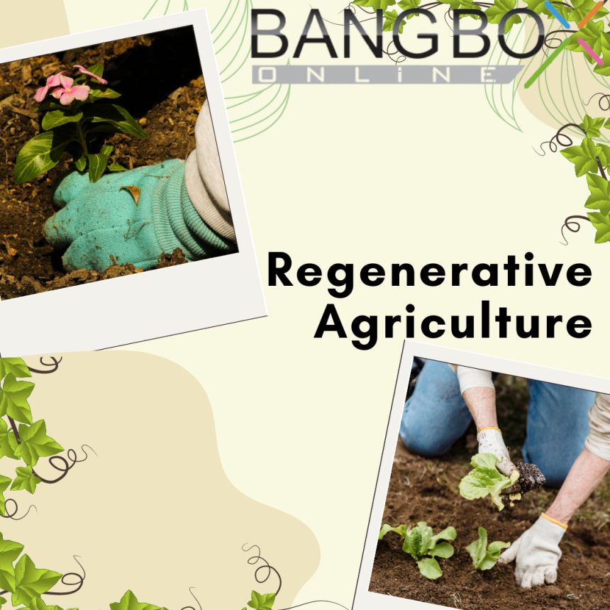 Regenerative Agriculture