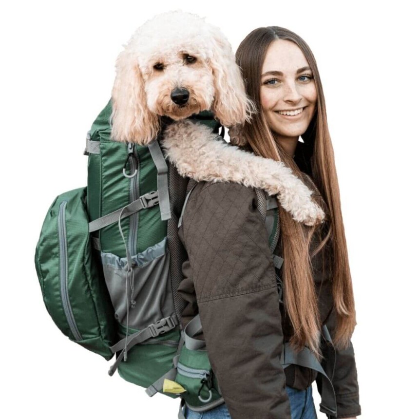 Discover the Best Dog Carrier in the United Kingdom – Your Ultimate Travel Solution for Your Furry Friend