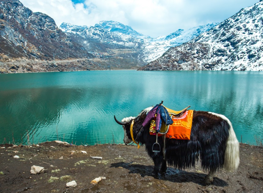 Tsomgo Lake: The Mystical Beauty of Sikkim