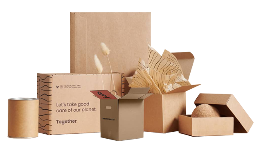 Custom Packaging Boxes