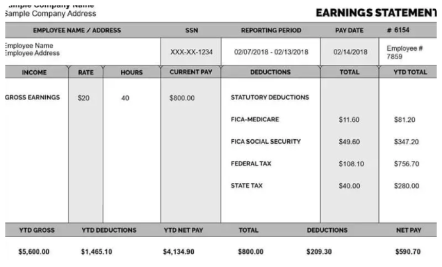 Paystub Template