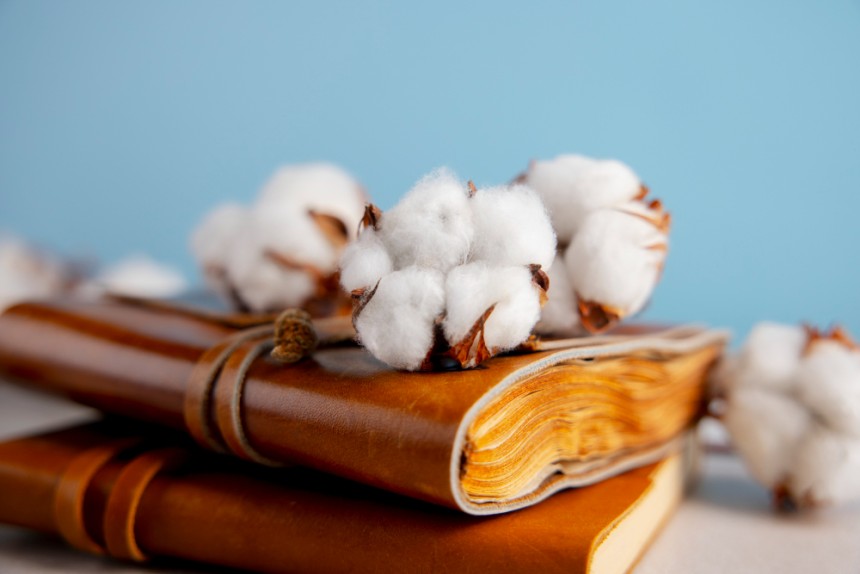 MCX Cotton Prices