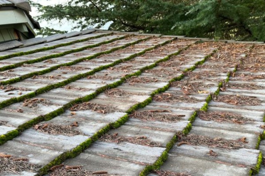 Roof Moss Removal
