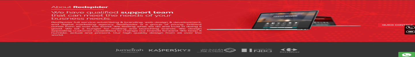 RedSpider Design Technology LLC