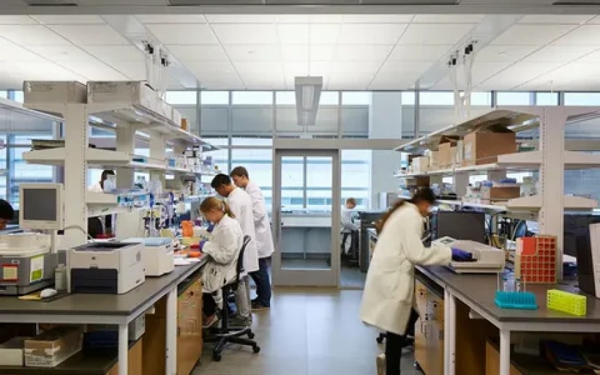 Laboratory Solution