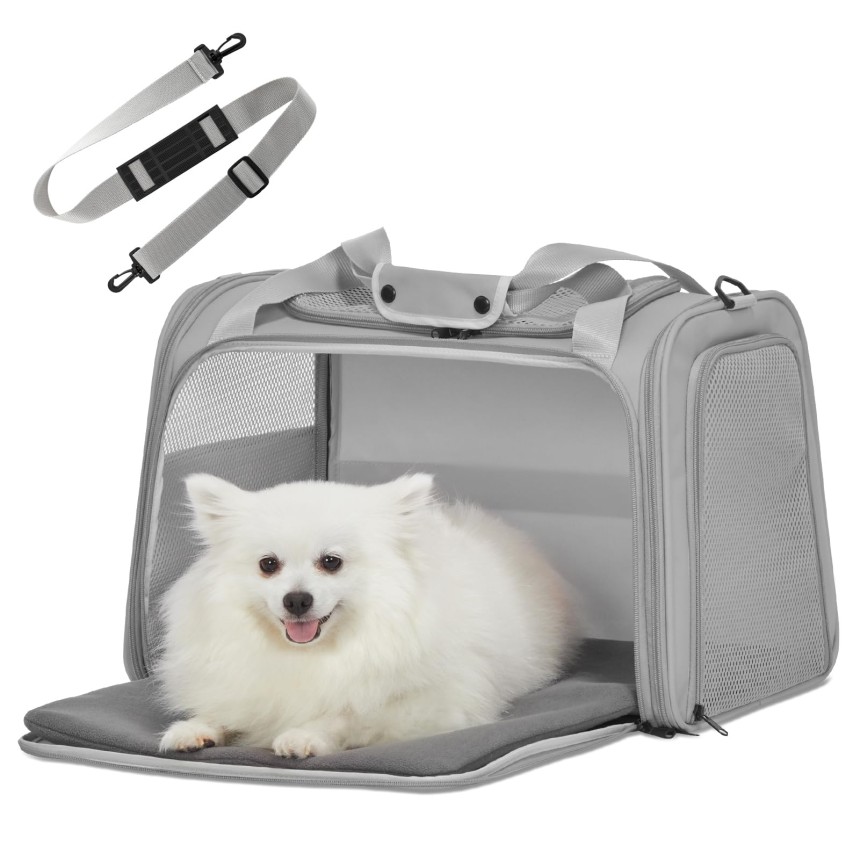 dog travel suitcase