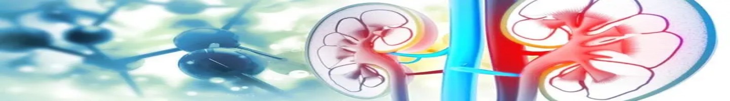 North Delhi Uro Gynae Clinic