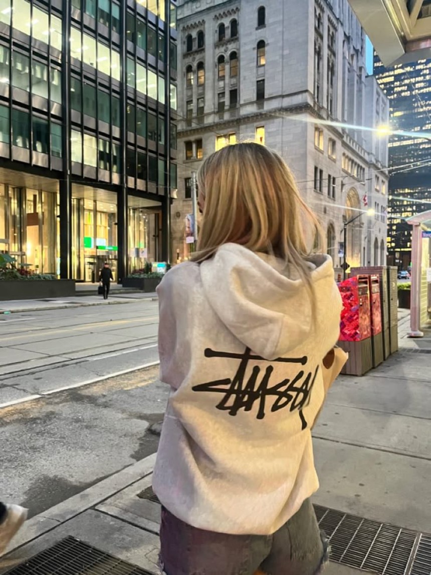 stussy hoodie