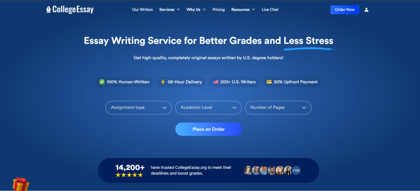 essay writing service