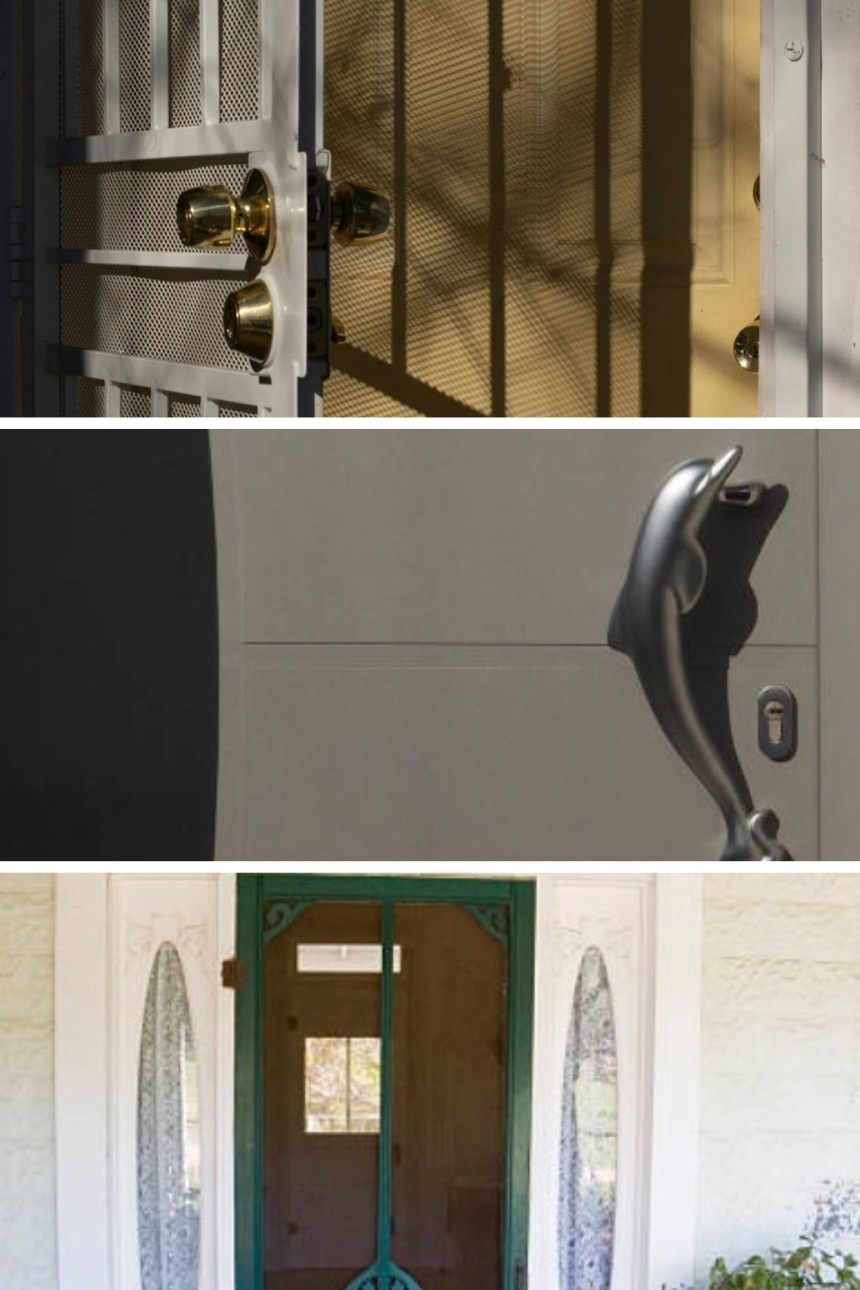 Dolphin Screen Door