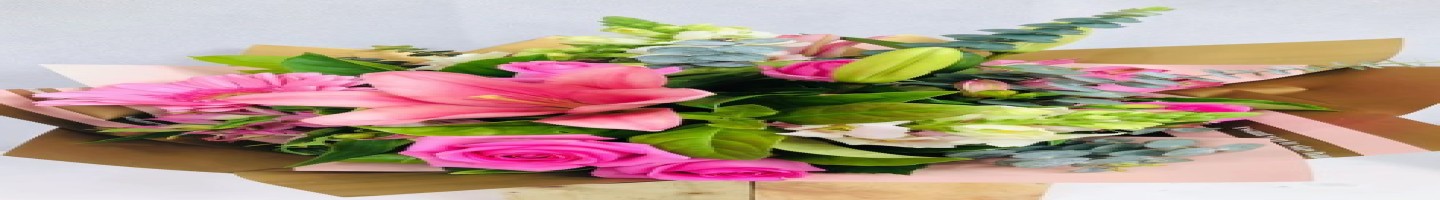 blossomofwyndam