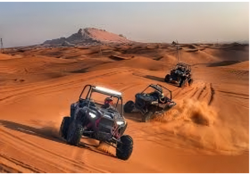 Explore Dubai’s Desert