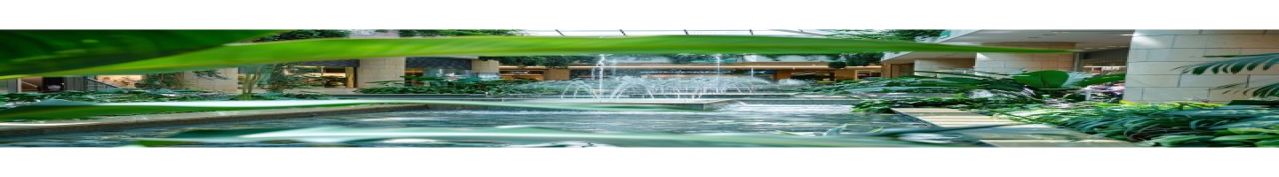 Renewable Energy Solutions