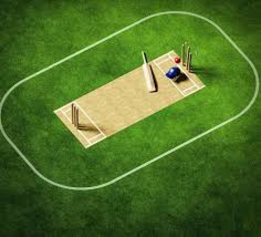 Cricket Turf Manufacturer