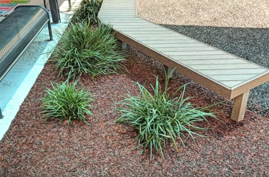 Rubber Mulch