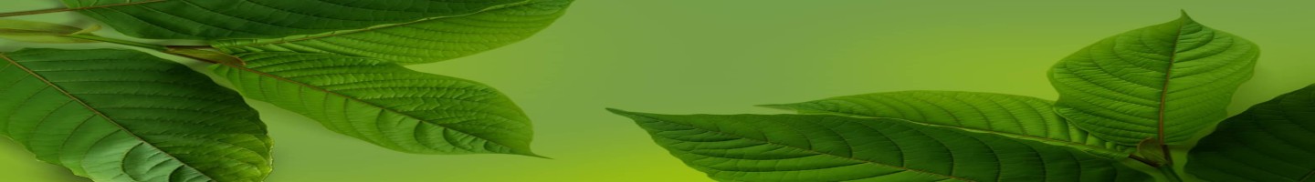 PA Botanicals