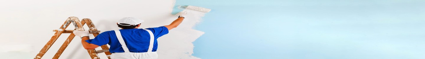 Expert Painter
