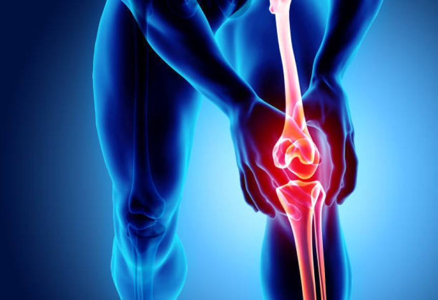Illustration of knee joint pain showing inflammation and skeletal anatomy for joint health awareness